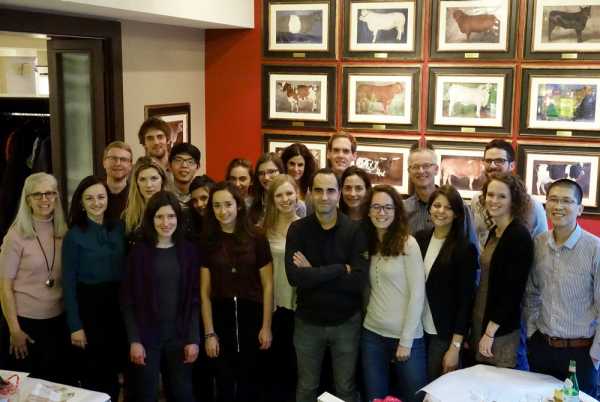 Enlarged view: 2017 the group